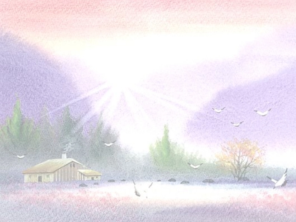 课件背景（绿荷叶）_第3页