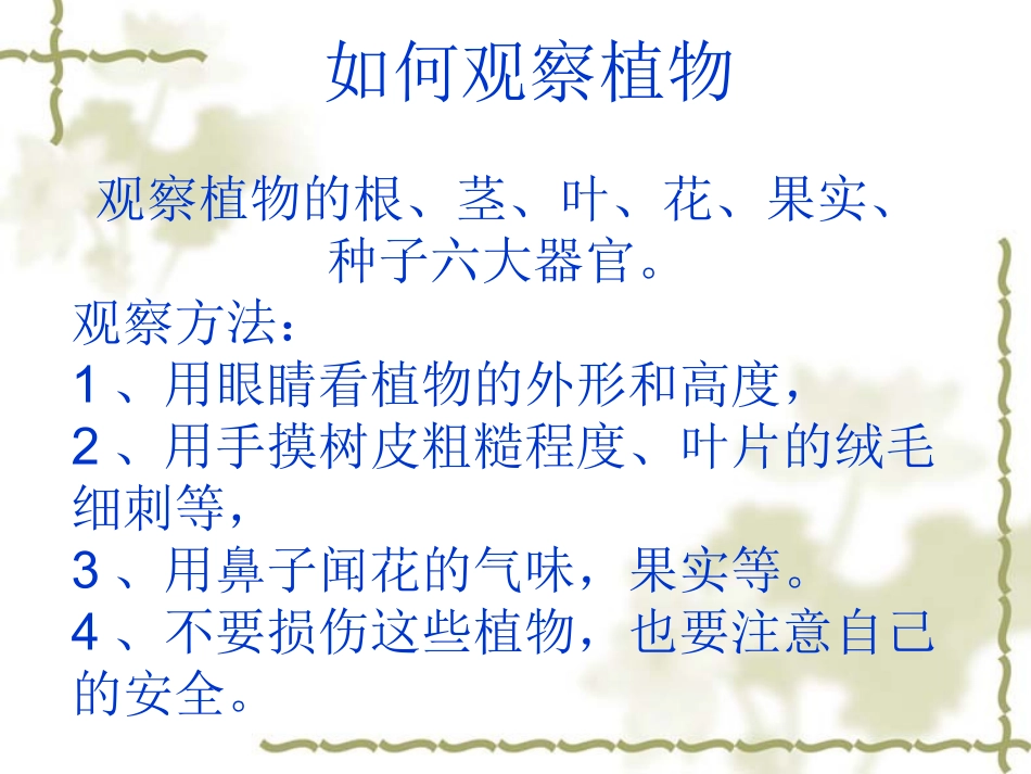 三年级银杏树的观察_第3页