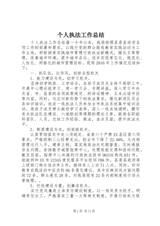 个人执法工作总结 (3)