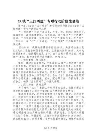 XX镇“三打两建”专项行动阶段性总结