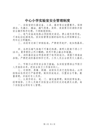 中心小学实验室安全管理制度