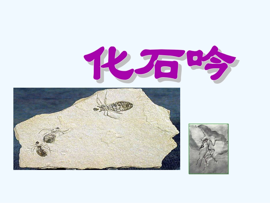 七年级语文上册《化石吟》优秀实用课件 人教新课标版_第1页