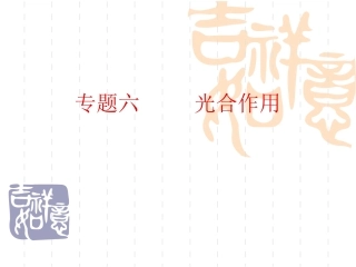 专题六光合作用