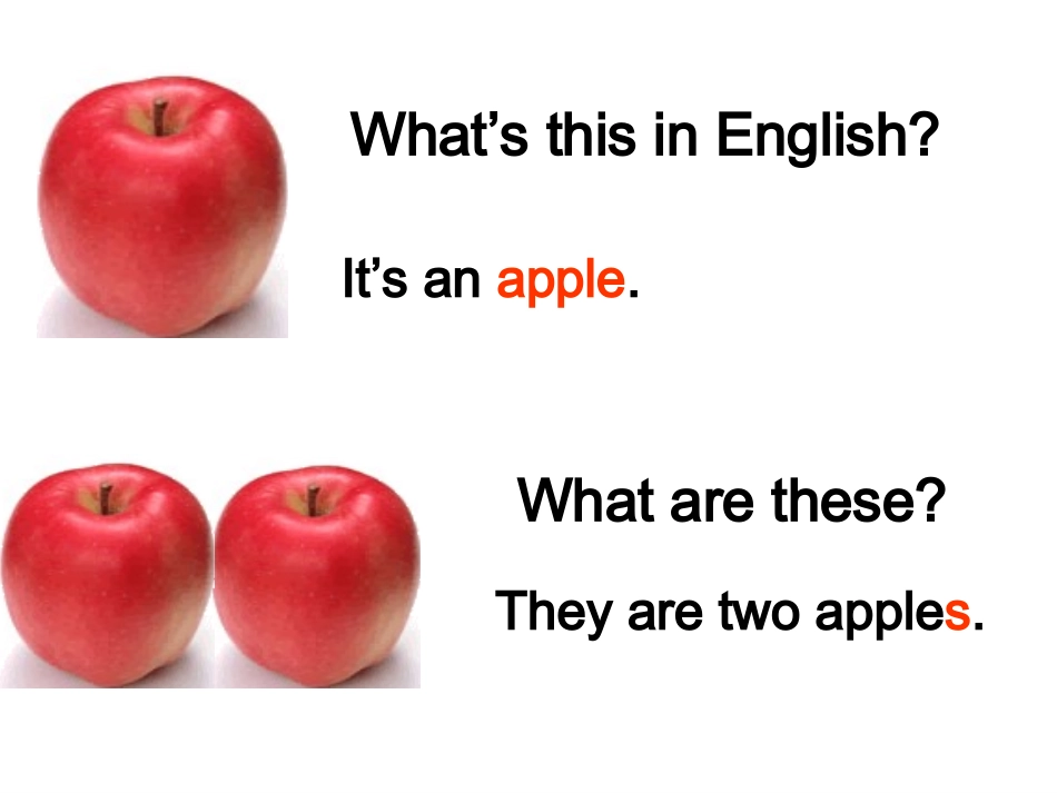 七年级上名词单数变复数课件_第2页