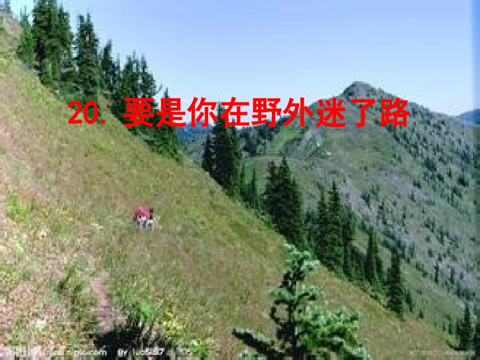 要是你在野外迷了路(1)_第1页