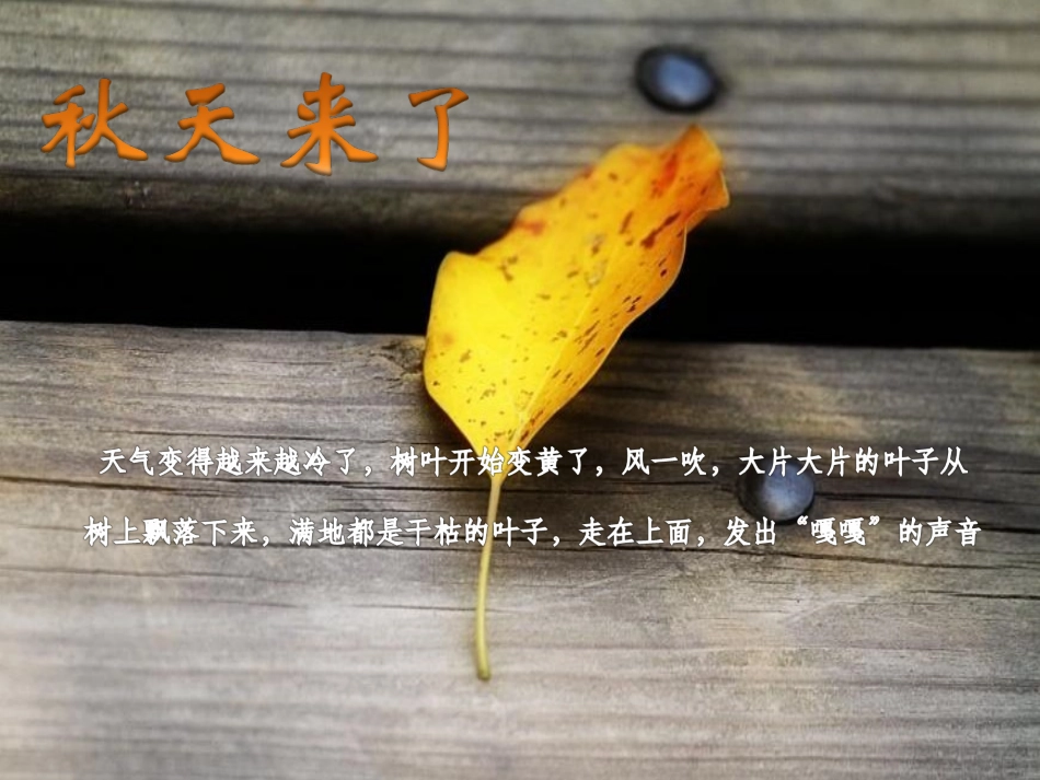 秋天的童话3_第3页