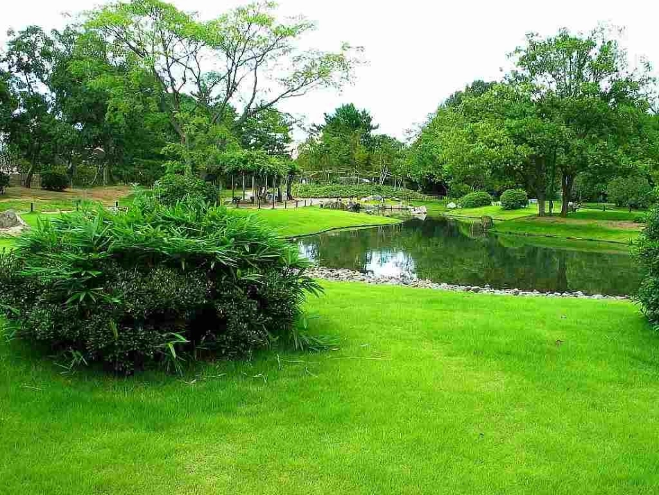 热爱生活　珍惜生命_第1页