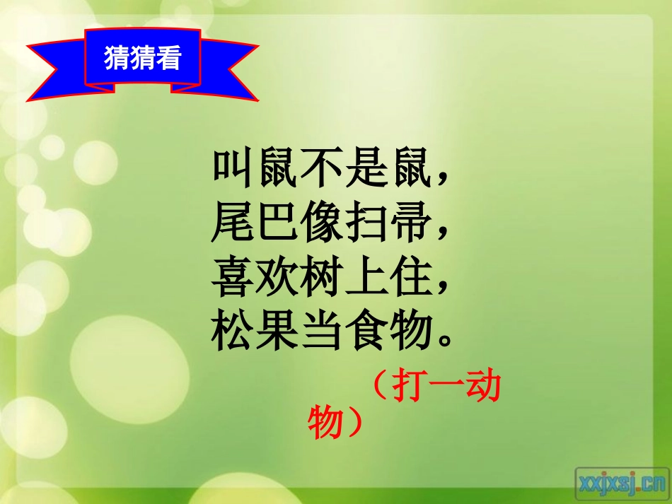 跑进家来的松鼠课件_第2页