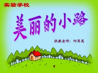 美丽的小路 (5)