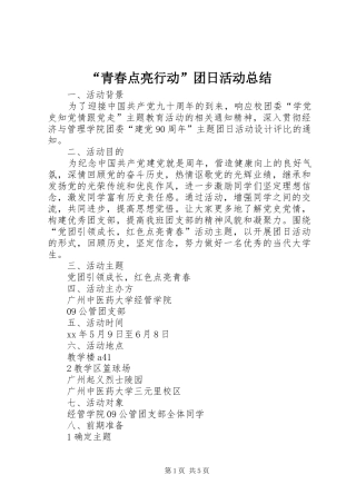 “青春点亮行动”团日活动总结 (3)