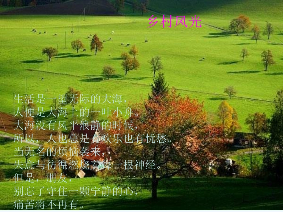 七年级语文下册 《罗迦诺的乡村》课件 河大版_第2页