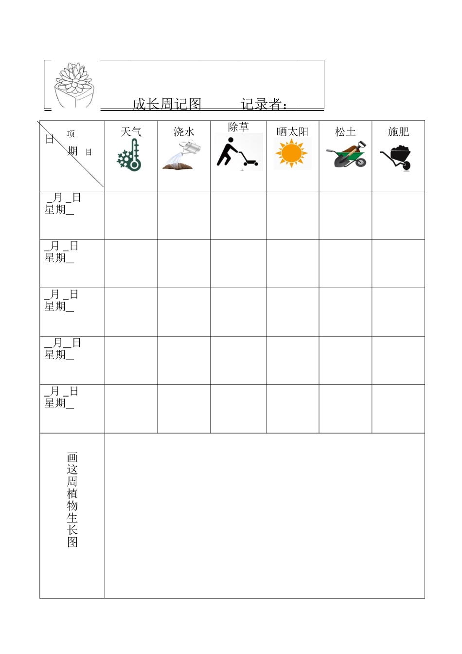 植物观察记录表_第2页