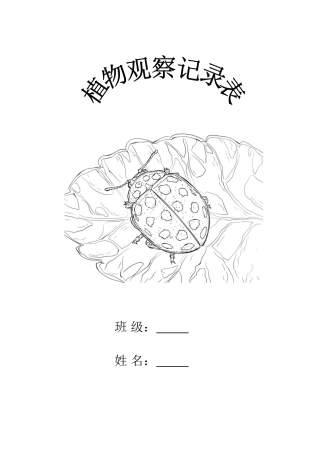 植物观察记录表