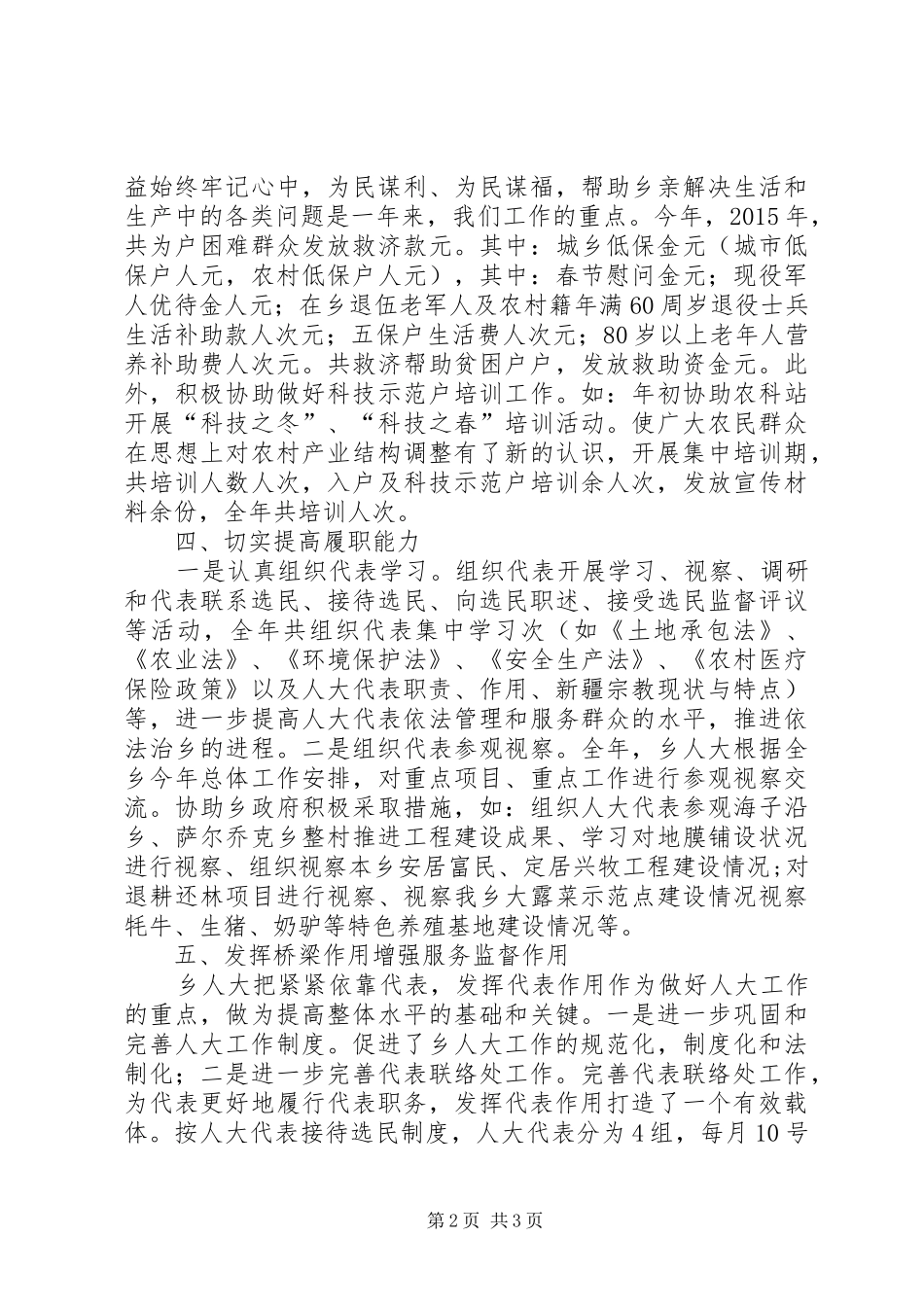 XX乡人大年度工作总结_第2页