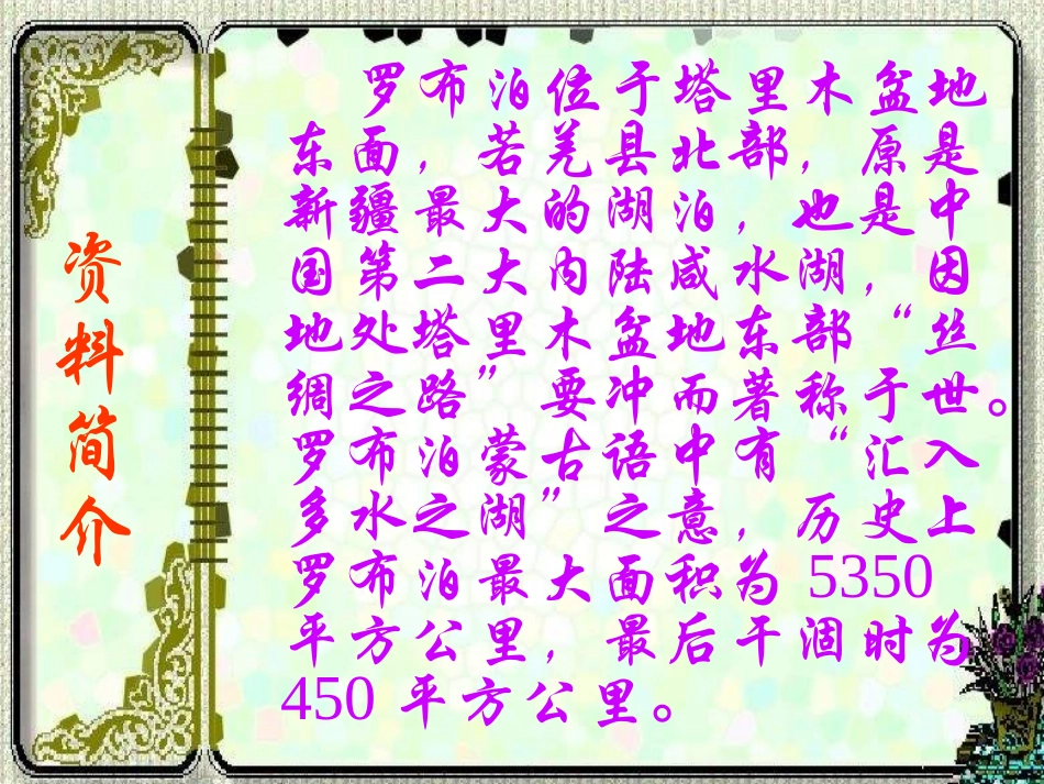 七年级语文上册 第20课《罗布泊，消逝的仙湖》课件 鲁教版_第2页