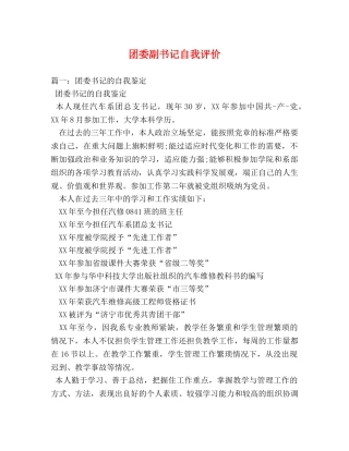 团委副书记自我评价 