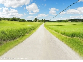 形神兼备写人物