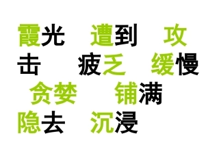 小老鼠去旅行