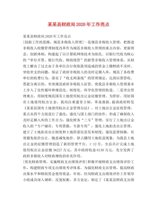 某某县财政局2024年工作亮点 