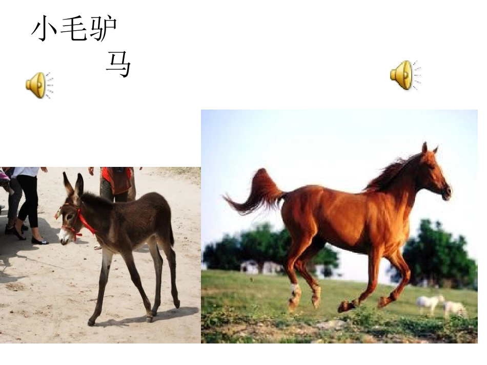 学歌曲-小毛驴_第3页