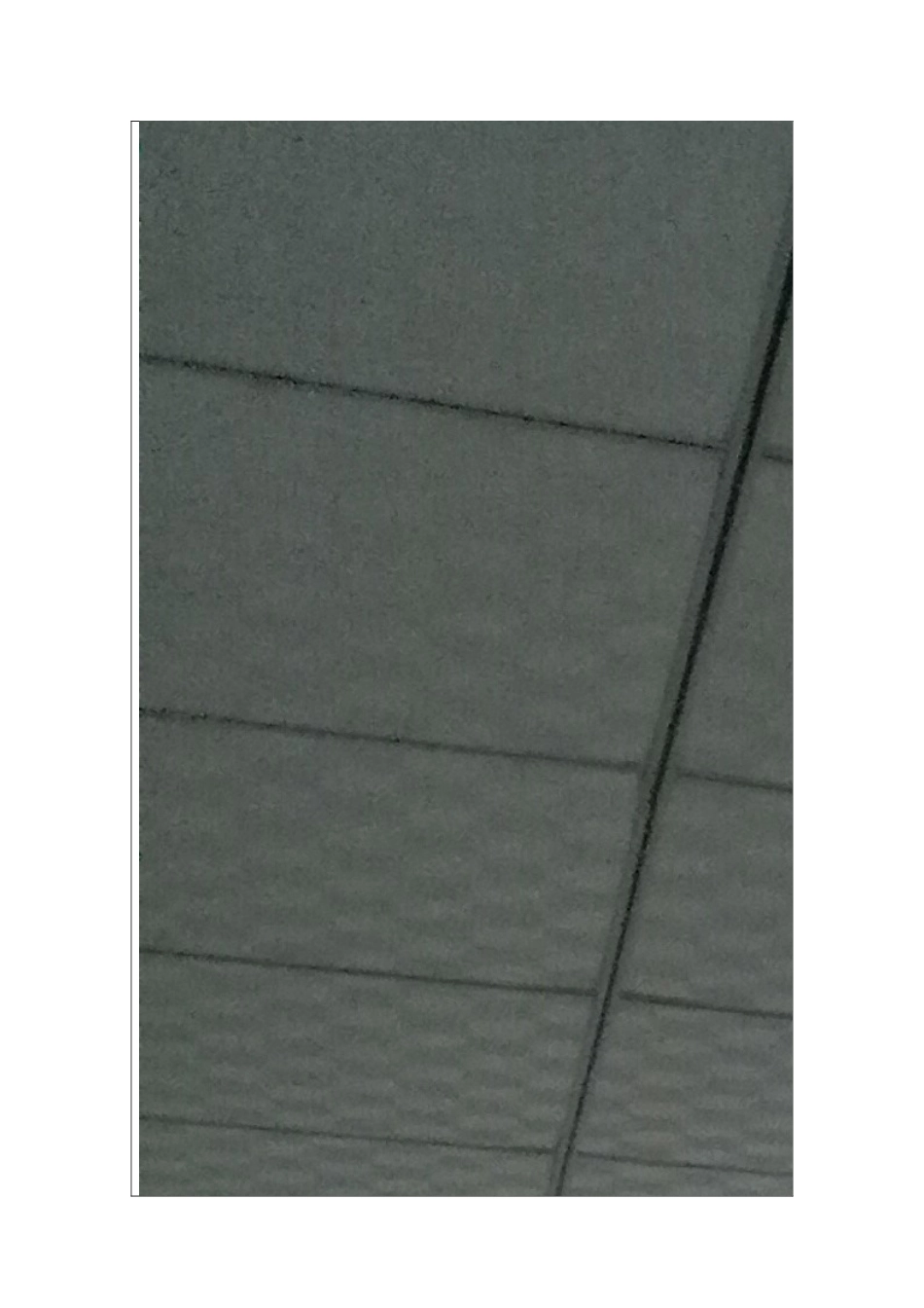 保育员安全培训记录表--_第3页