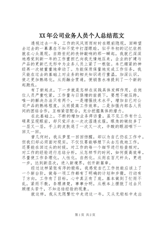 XX年公司业务人员个人总结范文