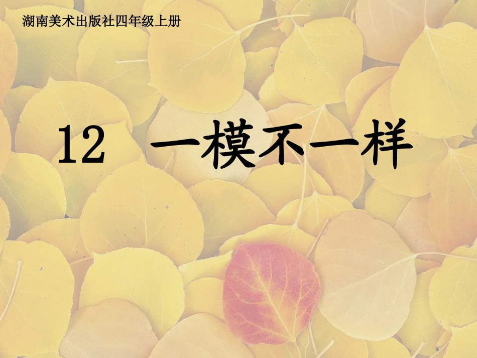 一模不一样课件_第1页