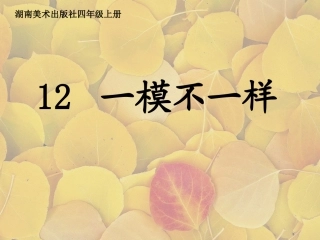 一模不一样课件