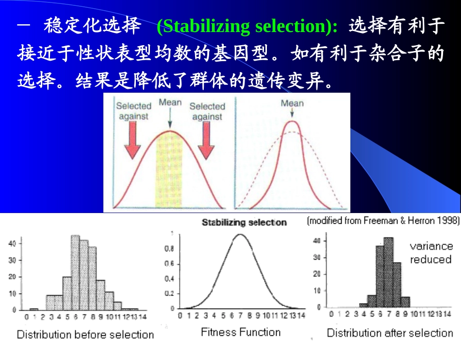 选择的原理与方法_第3页