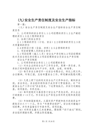 (九)安全生产责任制度及安全生产指标