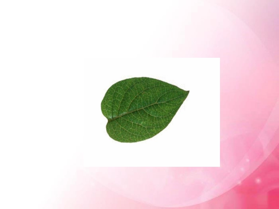 三年级数学上册（什么是周长）课件_第3页