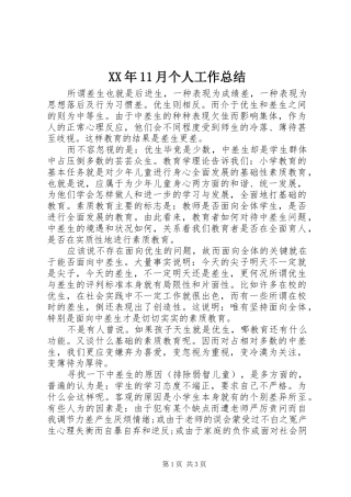 XX年11月个人工作总结