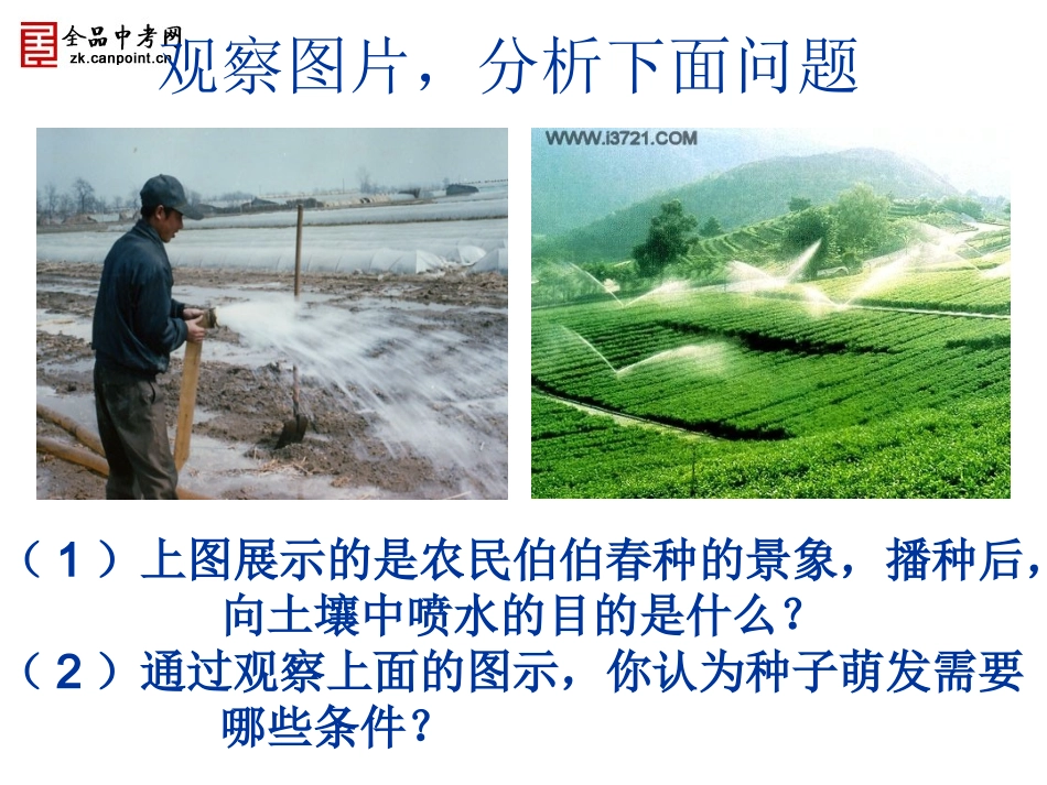 生物七年级上人教新课标321种子的萌发课件_第2页