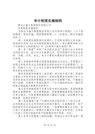 审计制度实施细则