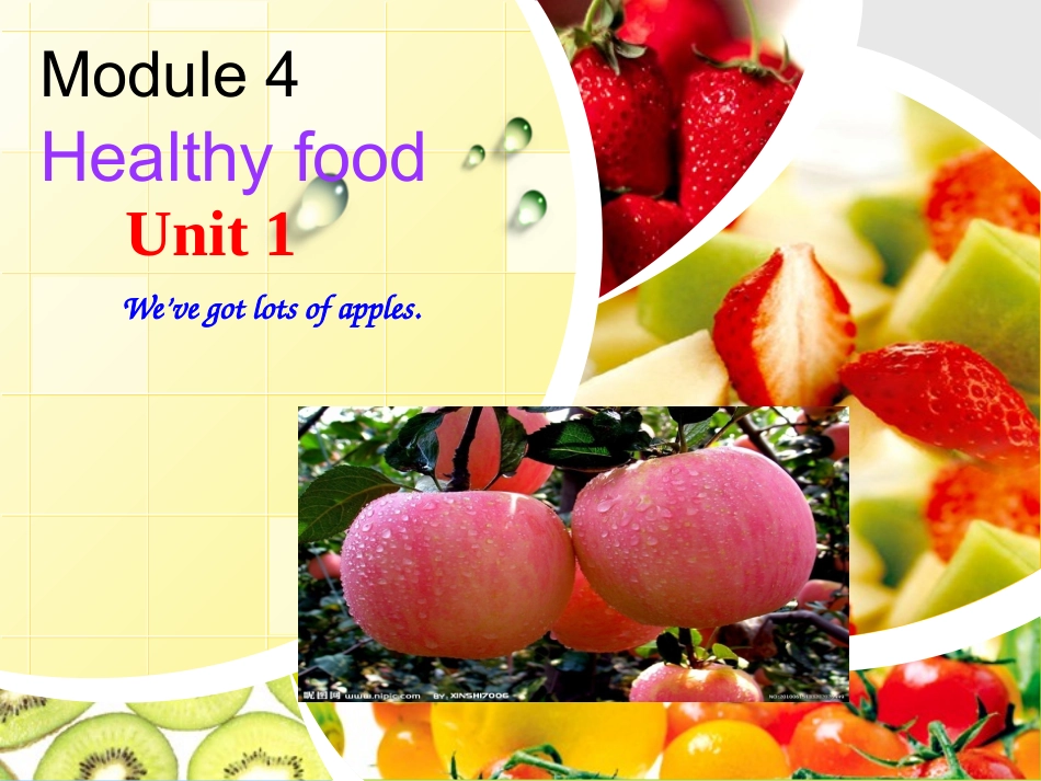 七年级上册M4-U1(1)_第3页