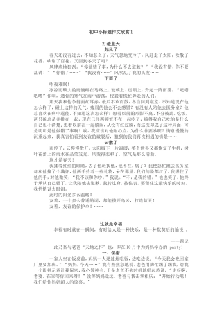 小标题形式的作文范文指导