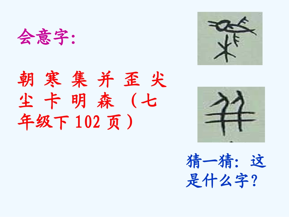 中考语文总复习 语言知识积累及运用课件_第3页