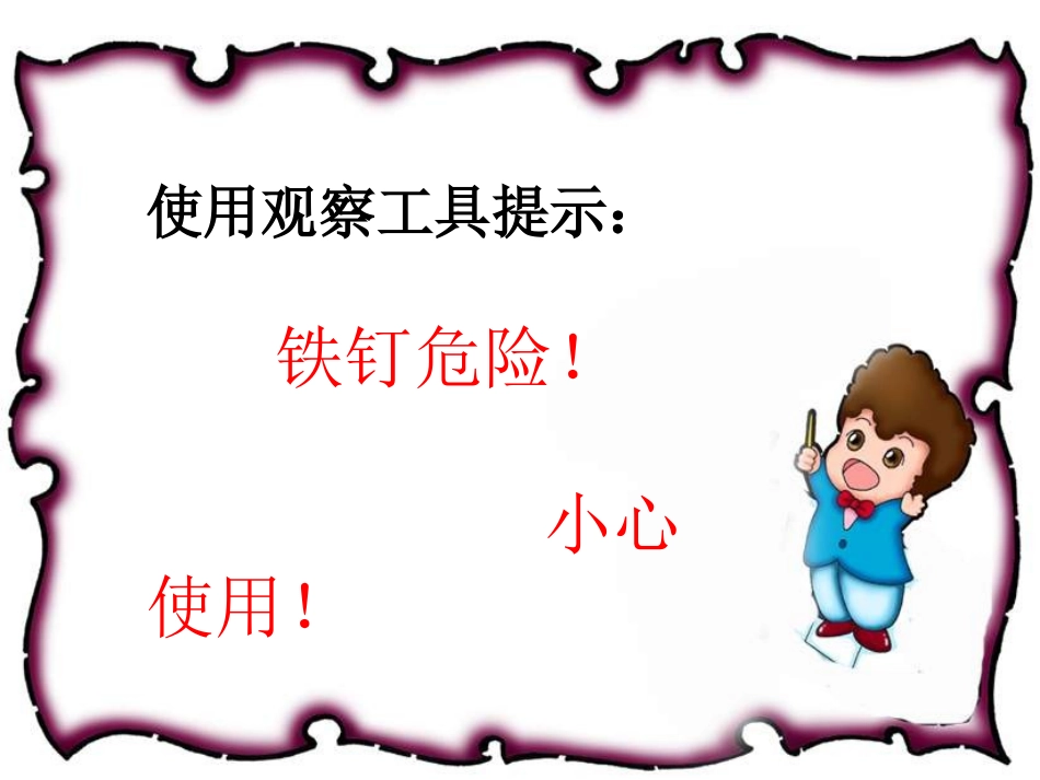 认识各种各样的岩石_第2页