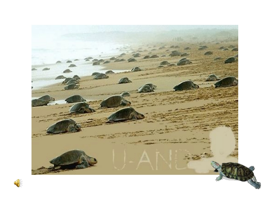 自然之道(1)_第2页