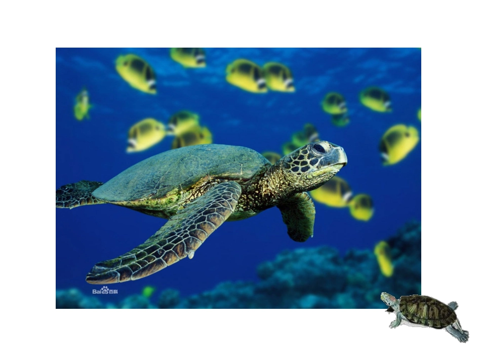 自然之道(1)_第3页