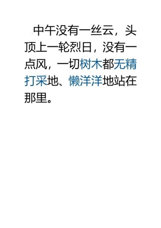 中午没有一丝云