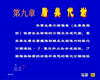 脂类代谢(2)