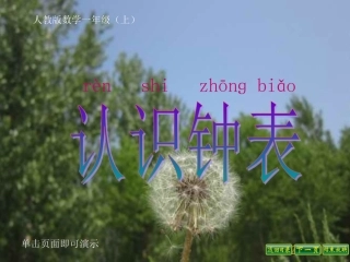 认识钟表 (18)