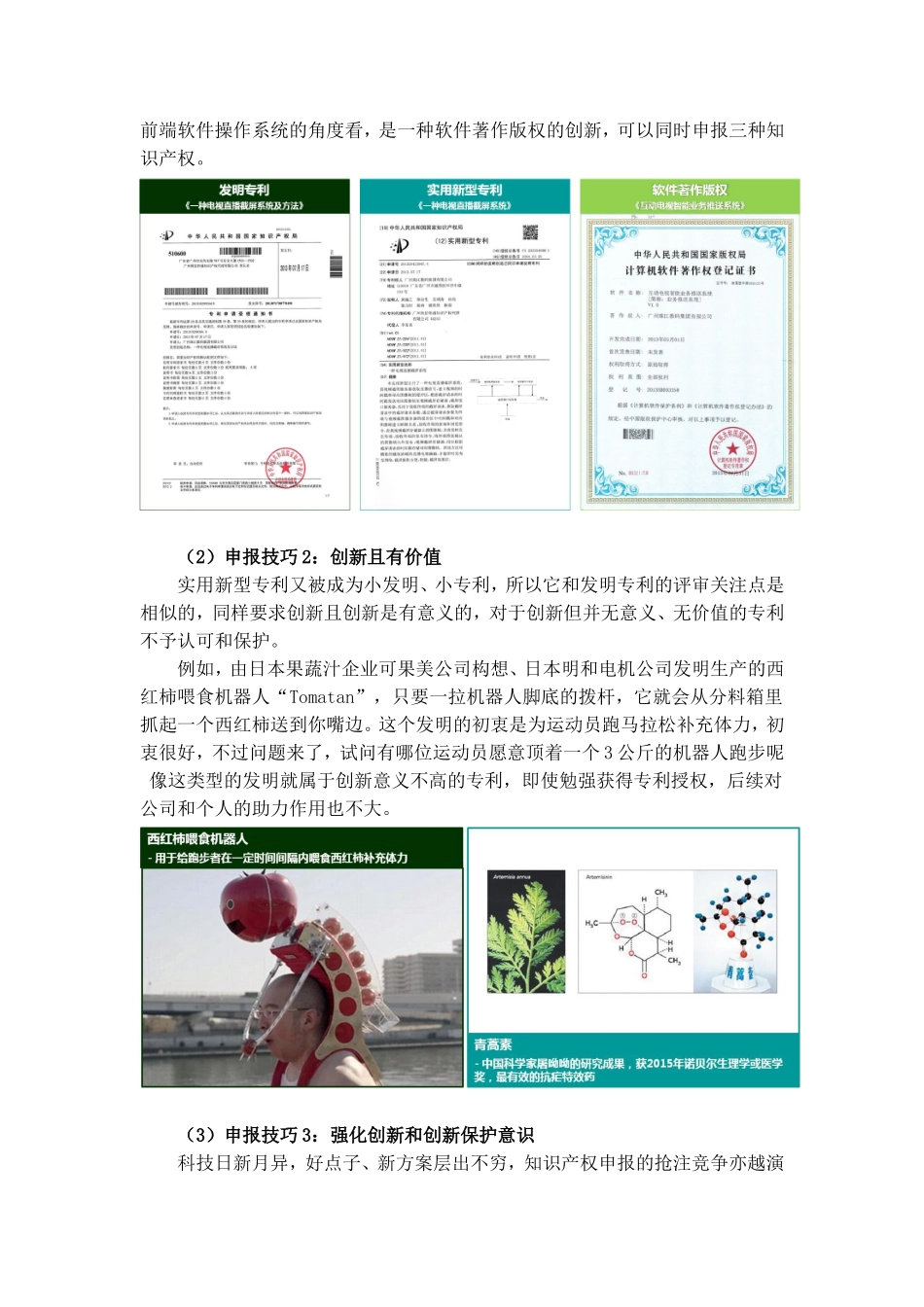 知识产权业务简介与申报技巧_第3页