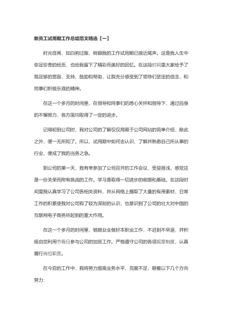 新员工试用期工作总结范文