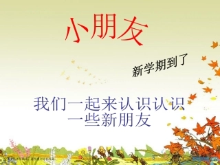 我们的民族小学教学课件