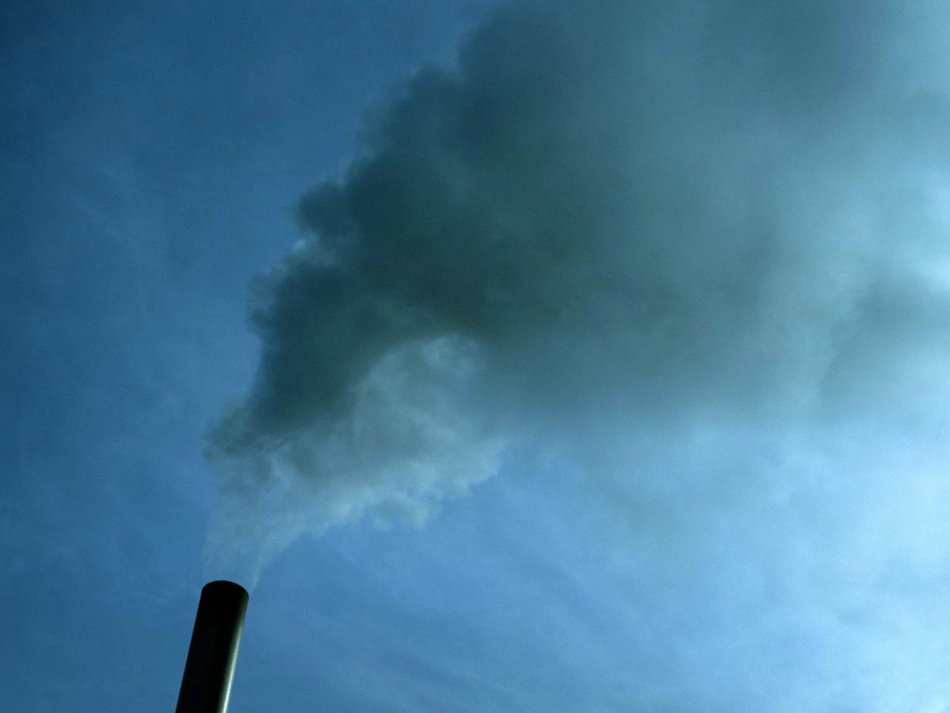 我为环保写倡议_第2页