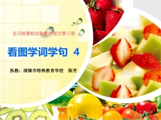 看图学词学句4课件