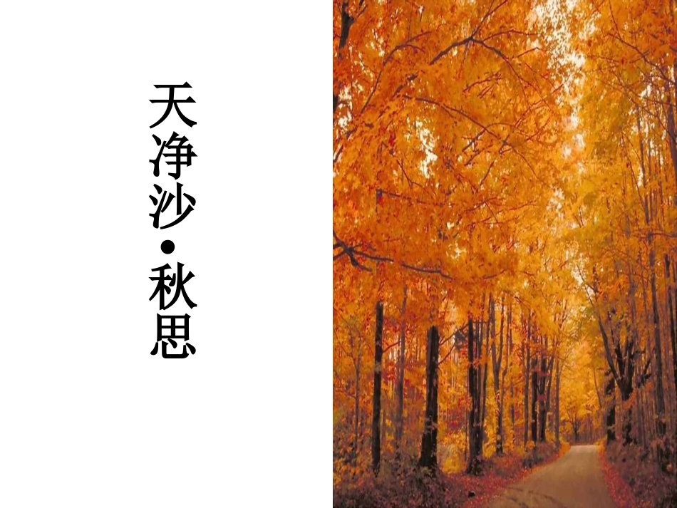 天净沙·秋思_第1页