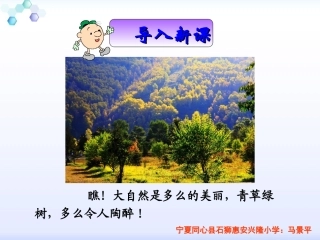 三年级下册语文——7一个小村庄的故事